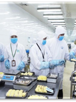 Thực tập ngành Lương thực - Thực phẩm